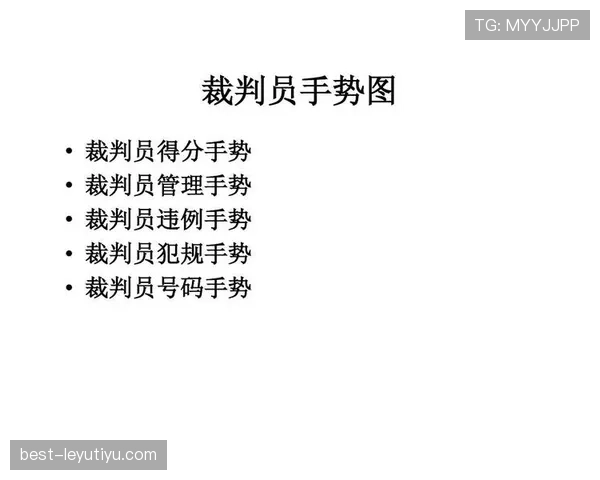 裁判手势规则详解及其在比赛判罚中的关键作用